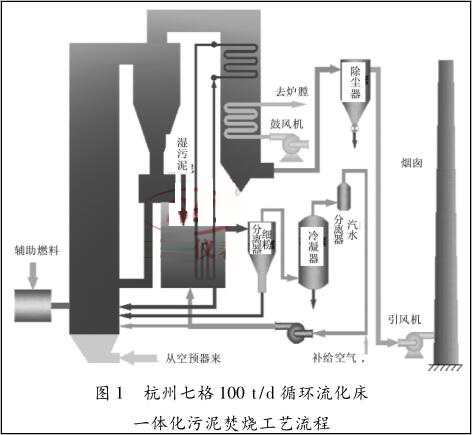�����߸�100 t/d ѭ�h������ һ�w������ٟ���ˇ����