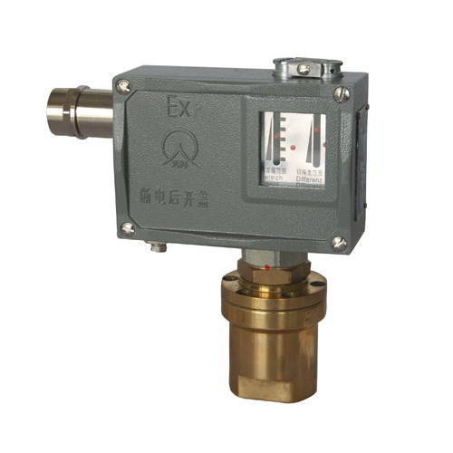  520/7DD������_�P 