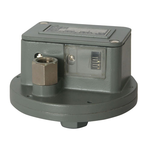  520/11DD��_�P 