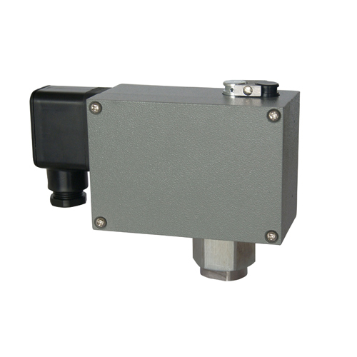  501/7DZ�p�|�c�����_�P 