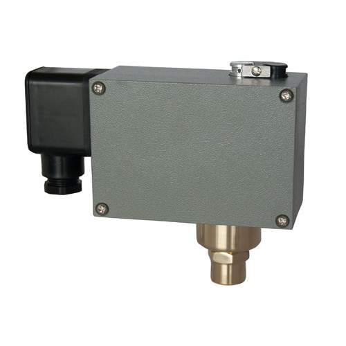  502/7DZ�p�|�c�����_�P 