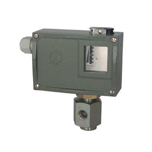  504/7DK�����_�P 