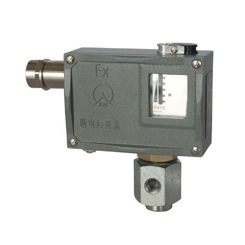  504/7D���������_�P 