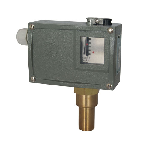  505/7DK�����_�P 