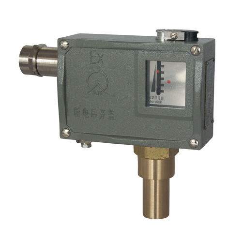  505/7D���������_�P 