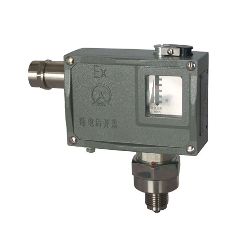  511/7D���������_�P 