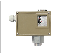 �����͉����_�P