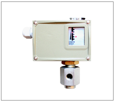 �߉��͉���������