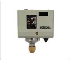 �����͉����_�P